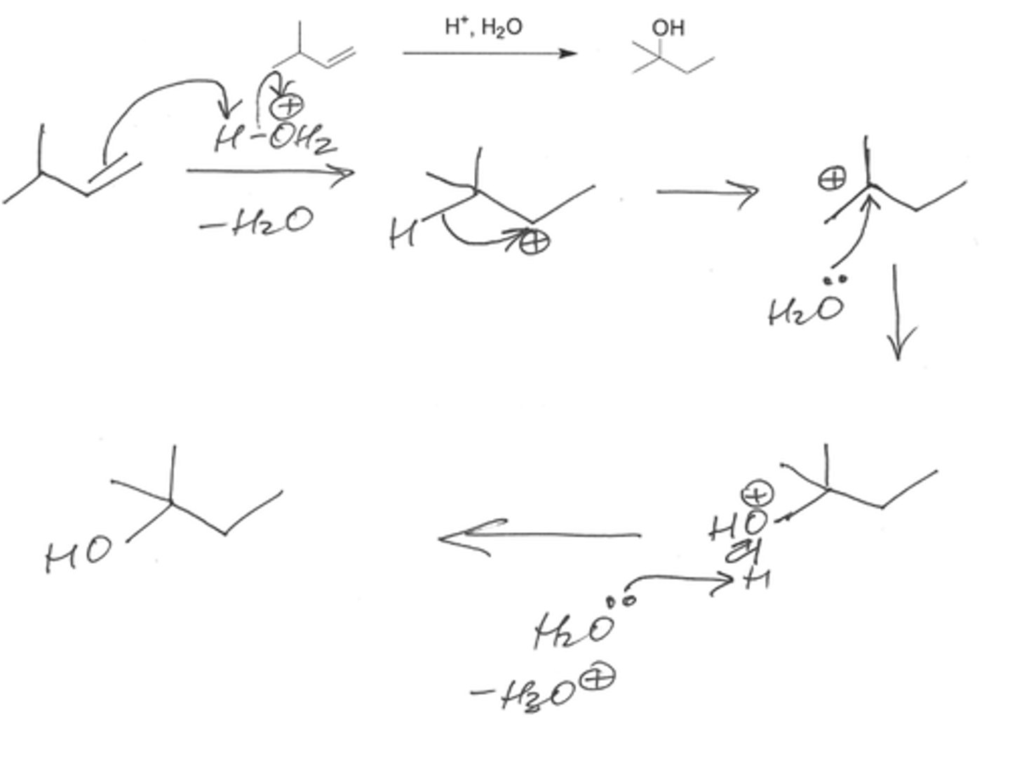 knowt flashcard image