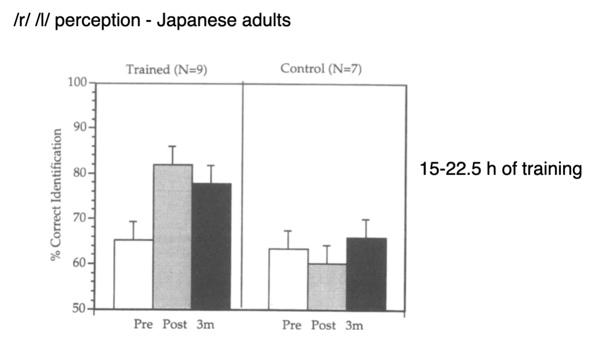 <p><span data-name="brain" data-type="emoji">🧠</span> Study Summary: /r/–/l/ Perception in Japanese Adults </p><ul><li><p class=""><strong>Training duration</strong>: 15–22.5 hours</p></li><li><p class=""><strong>Groups</strong>:</p><ul><li><p class=""><strong>Trained group (N=9)</strong></p></li><li><p class=""><strong>Control group (N=7)</strong></p></li></ul></li></ul><p></p><p><span data-name="bar_chart" data-type="emoji">📊</span> Results: </p><p><strong>Trained Group</strong>: </p><ul><li><p class=""><strong>Pre-training</strong>: ~65% correct</p></li><li><p class=""><strong>Post-training</strong>: ↑ to ~82% correct</p></li><li><p class=""><strong>3 months later</strong>: Performance maintained (~78%)</p></li></ul><p><strong>Control Group</strong>: </p><ul><li><p class="">No substantial change across time points.</p></li></ul><p></p><p><span data-name="check_mark_button" data-type="emoji">✅</span> Key Insight: </p><figure data-type="blockquoteFigure"><div><blockquote><p class=""><strong>Perceptual learning is possible in adulthood</strong>, even for difficult non-native contrasts (like /r/ vs. /l/), but <strong>requires focused training</strong>.</p></blockquote><figcaption></figcaption></div></figure><p class="">This supports the idea that <strong>native language neural commitment is not irreversible</strong>, though it becomes less flexible with age.</p>