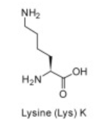 <p>K</p>