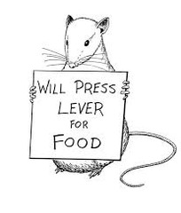 Study only observable behaviors
-We can't understand internal mental states
-Behaviors are 100% malleable (No free will)
People can be trained to do anything
-Humans are blank slates at birth