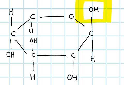 <p>CH2OH - which glucose is this?</p>