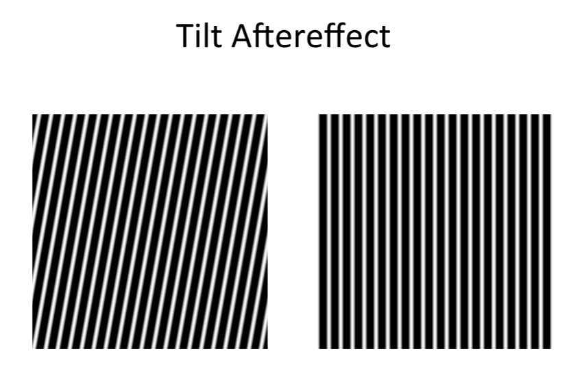 <p>adaption</p>