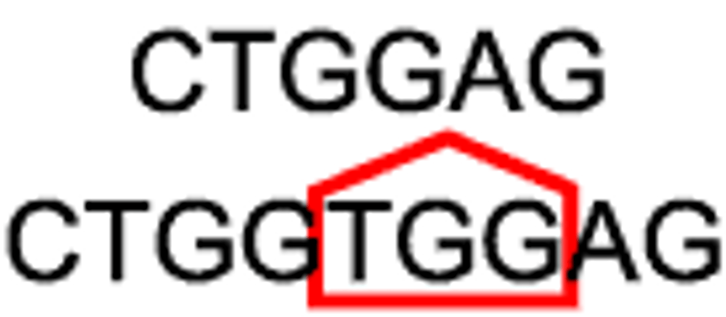 <p>a mutation in which one or more nucleotides are added to a geneinse</p>