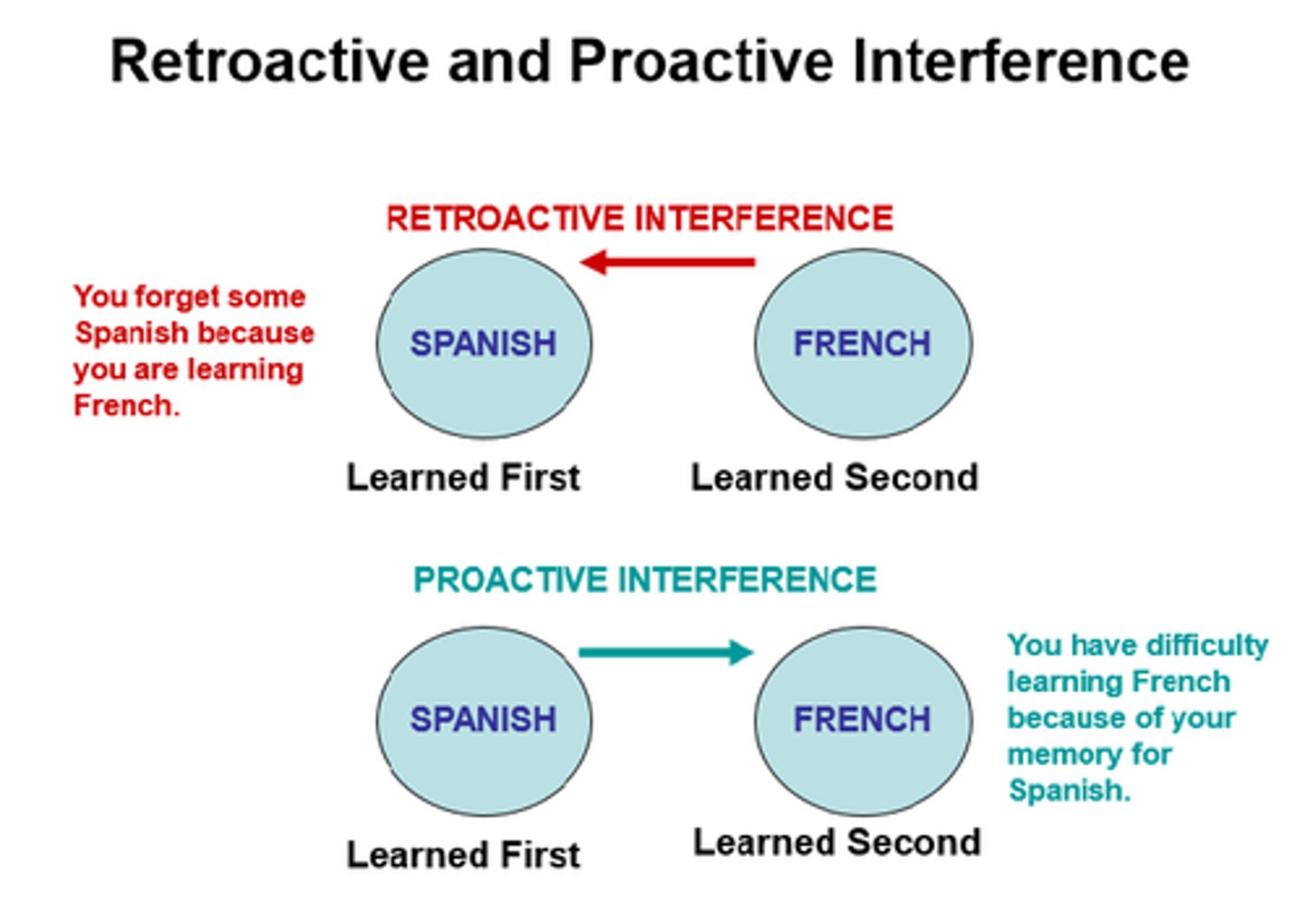 <p>the forward-acting disruptive effect of older learning on the recall of new information</p>