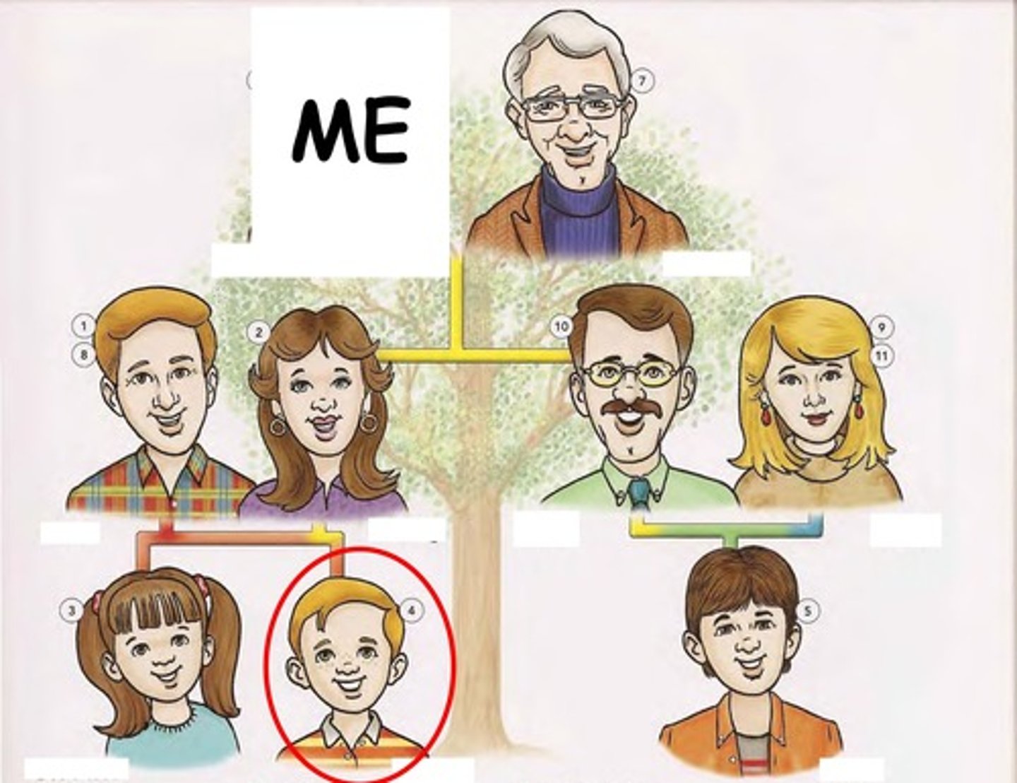 knowt flashcard image