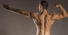 <p>To build muscle …, focus on higher reps; to build mass, focus on heavier weights.</p><p>(musculature)</p>