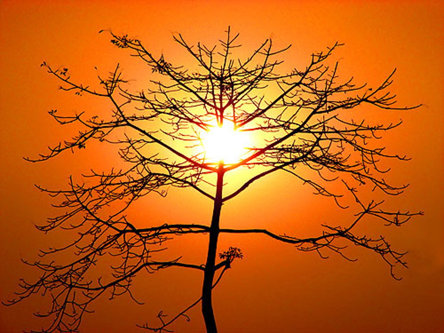 <p>adj. or n. having to do with the appreciation of beauty</p>