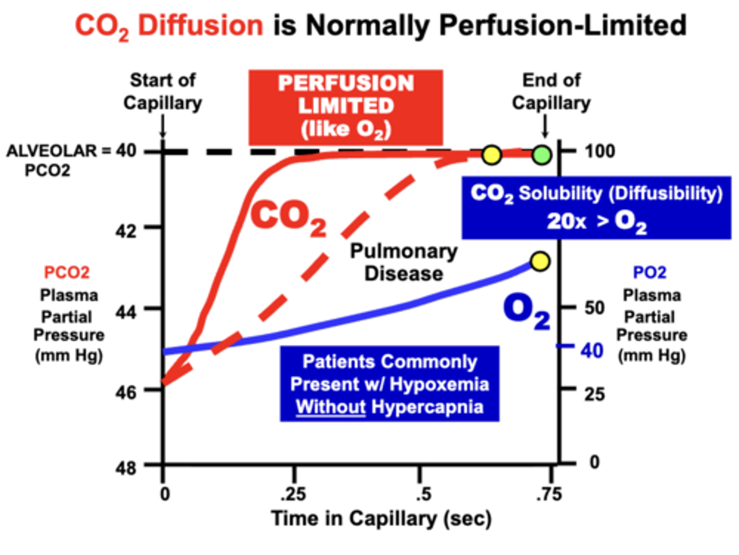 <p>Diffusion-Limited </p><p>- although more severe membrane diffusion impairments are generally required to prevent equilibration</p><p>- due to the higher (20x) relative solubility of CO2 compared to O2, which allows continued CO2 equilibration despite a severely diminished membrane diffusion capacity</p>