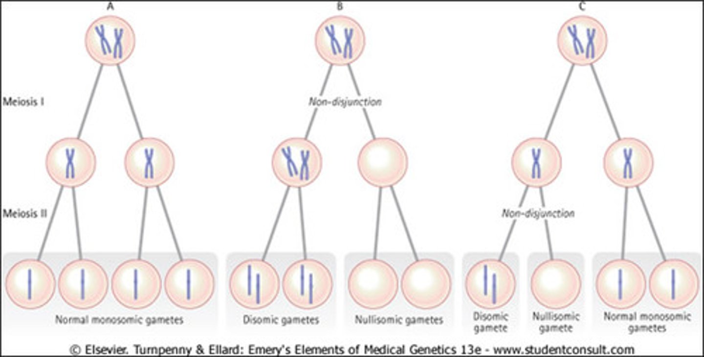 <p>Error in meiosis in which homologous chromosomes fail to separate, resulting in gametes with too many or too few chromosomes</p>