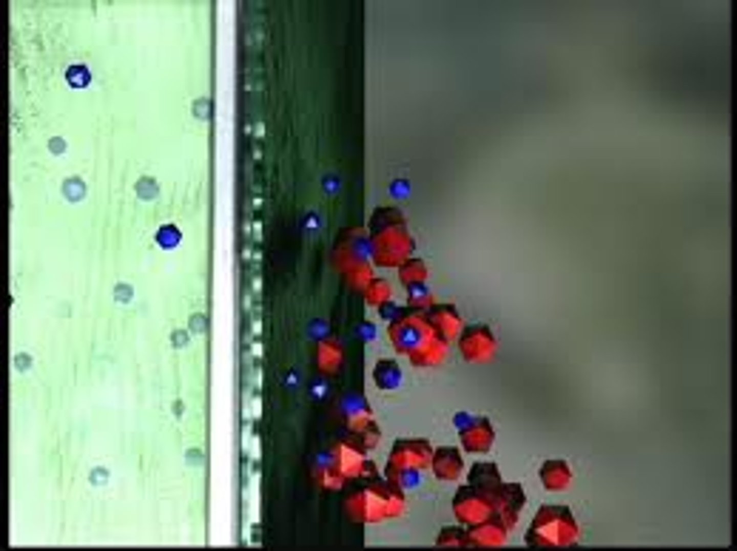 <p>_________ ____________ is a characteristic of cell membranes that means what passes in and out is regulated. It allows some substances to cross the membrane more easily than others.</p>