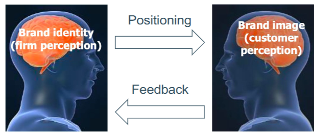 <p><span>• Brand positioning communicates the brand identity to consumers</span><br><span>• Brand positioning ”is the act of designing the company’s offering and image to occupy a</span><br><span>distinctive place in the mind of the target market” </span><br><span>• The resulting brand image is a means to check whether the brand positioning reflects the desired brand identity</span></p>