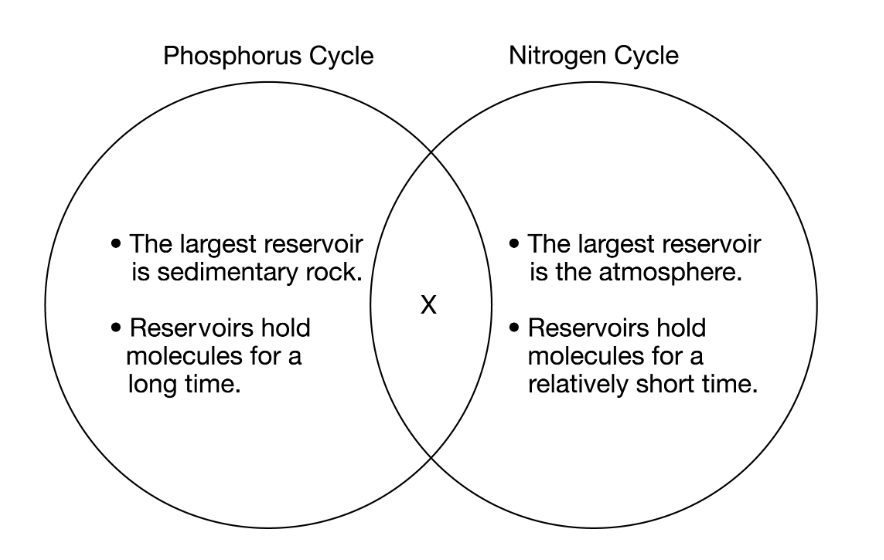 <p>Which of the following would best describe <span><span>X</span></span> in the diagram above?</p><p><strong>A</strong></p><p class="choice_paragraph">Bacteria play an important role in the conversion of compounds from the atmospheric gas to the form of the compound taken up by plants.</p><p><strong>B</strong></p><p class="choice_paragraph">Phosphorus and nitrogen are both required for plant growth.</p><p><strong>C</strong></p><p class="choice_paragraph">Volcanic eruptions are a major source of non-anthropogenic inputs.</p><p><strong>D</strong></p><p class="choice_paragraph">Processes include weathering and erosion.</p>