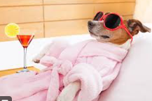 <p>My aunt used to … me — she brought me sweets every day and let me do whatever I wanted.</p><p>(= cuddled me)</p>