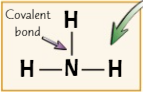 a way of displaying covalent bonds