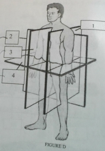 <p>Name plane 1</p>