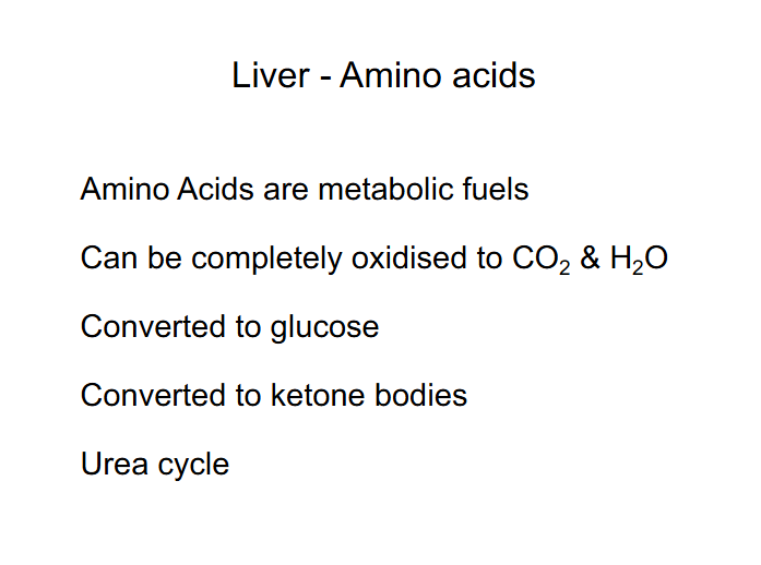 <p>Liver - Amino ACids</p>