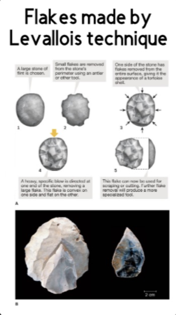 <p><span>What is the Levallois technique?</span></p>