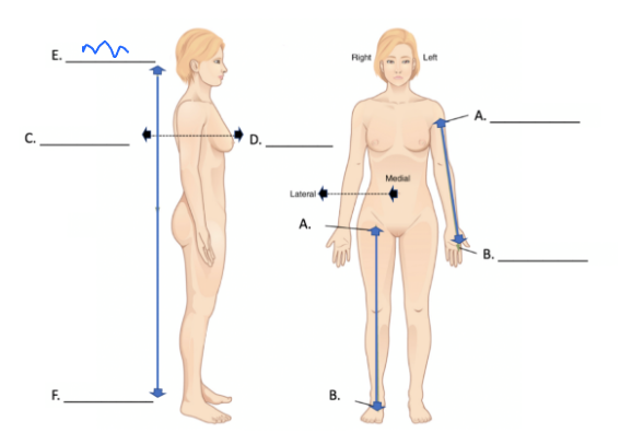 <p>What is this directional term?</p>