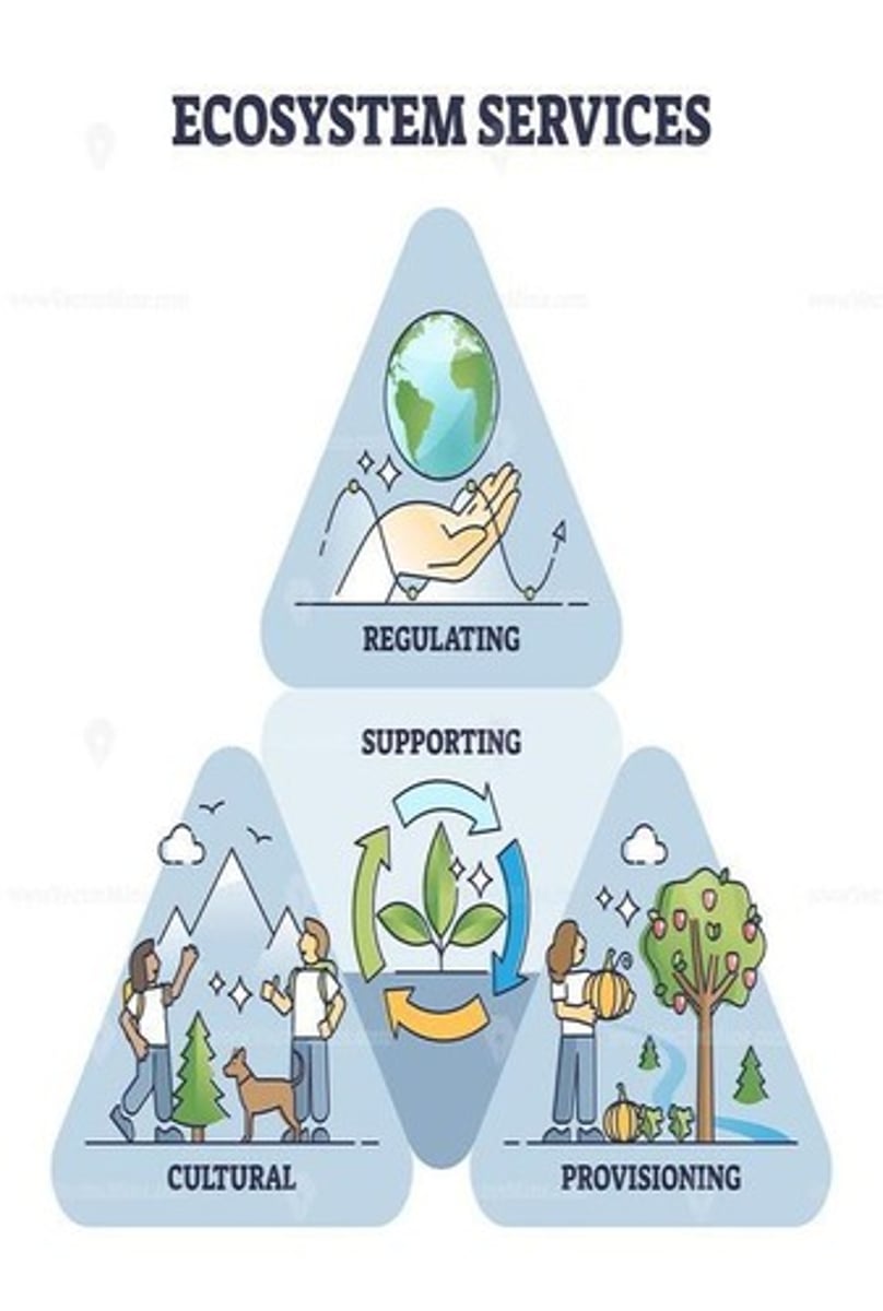 <p>Includes aesthetics, ecological services, and social benefits.</p>