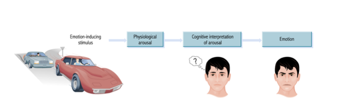 <p>What Theory is this?</p>