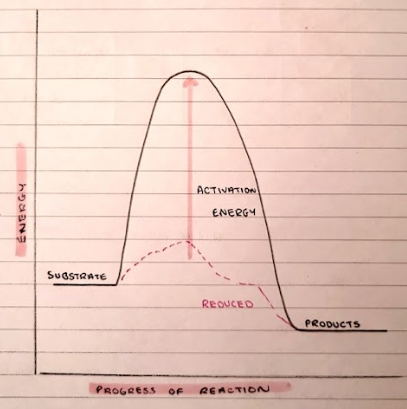 <p>For a reaction to occur, the reacting substances must collide. The energy barrier required for this to happen is known as the ACTIVATION ENERGY,</p><p>One way of overcoming this barrier is heating the reaction. This increases the kinetic energy of the molecules which therefore increases the number of successful collisions.</p>