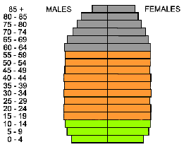 <p>Level of development: Developed, Core</p><p>Cohorts approximately equal, more older females cylinder/coke bottle/cylinder hourglass even/low dependency, low birth/death rate slow RNI</p>