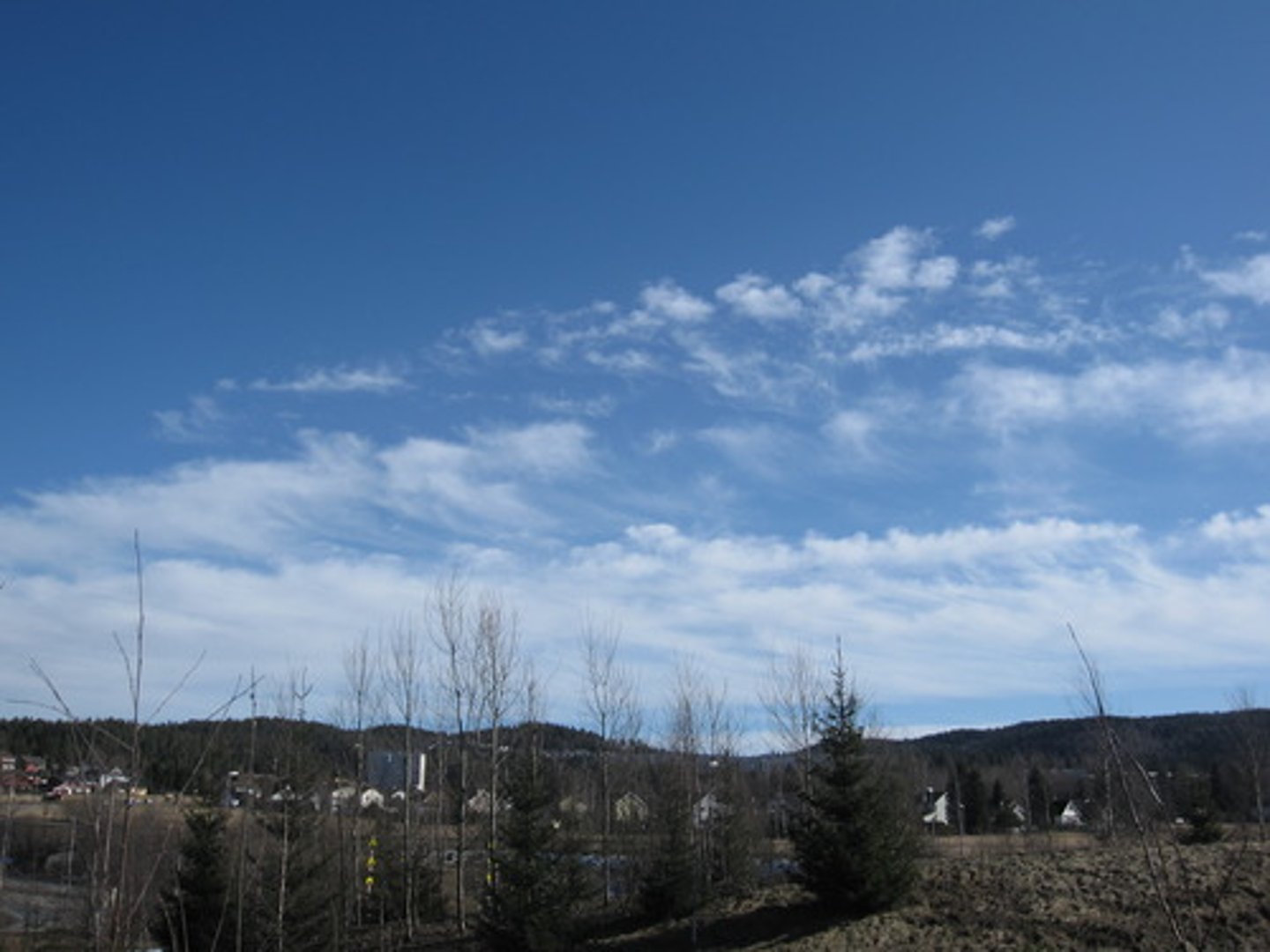 <p>the most common of the high clouds. They are composed of ice and are thin, wispy clouds blown in high winds into long streamers. Cirrus clouds are usually white and predict fair to pleasant weather. By watching the movement of cirrus clouds you can tell from which direction weather is approaching. When you see cirrus clouds, it usually indicates that a change in the weather will occur within 24 hours.</p>