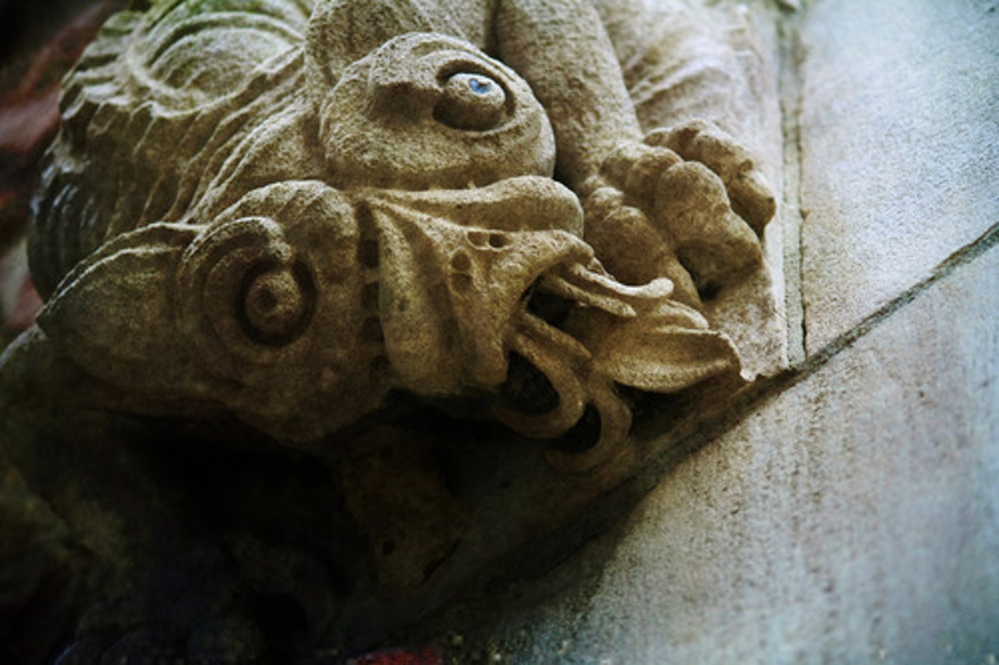 <p>(adj.) unnatural, distorted; bizarre</p>