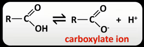 <p>-weak acids: dissociate partially to form H<sup>+</sup> ion and a carboxylate ion</p>