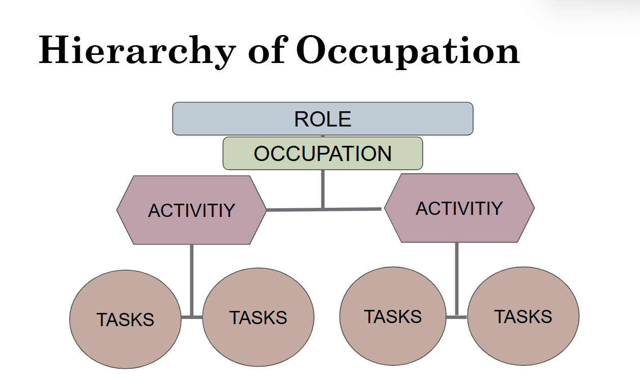 <p>Hierarchy of Occupation</p>
