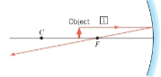 it's the one that goes from the top of the object horizontally and through the focal point the to back