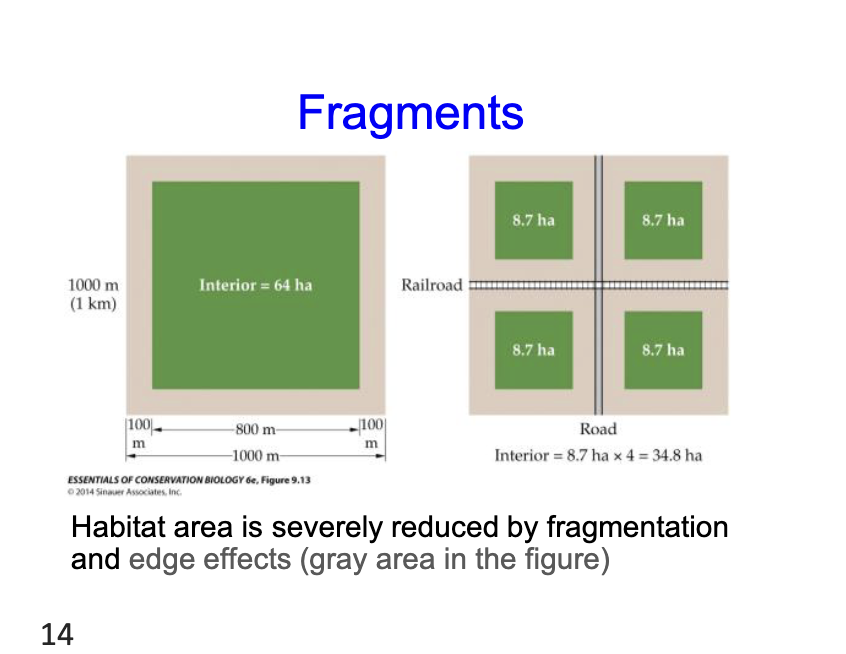 <p>Fragments by railraods and roads </p>