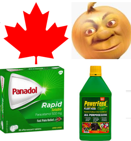 <p>Drugs/toxins</p><p>-Paracetamol (cats, dogs)</p><p></p><p>Plants</p><p>-Onions</p><p>-Red Maple Leaf (horses)</p><p>-Nitrite (nitrate in plant/fertilizer)</p>