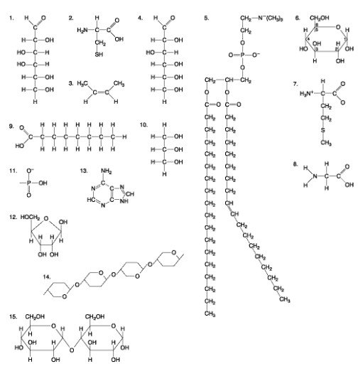 <p>Which of the following molecules are carbohydrates? <strong>select two</strong></p>