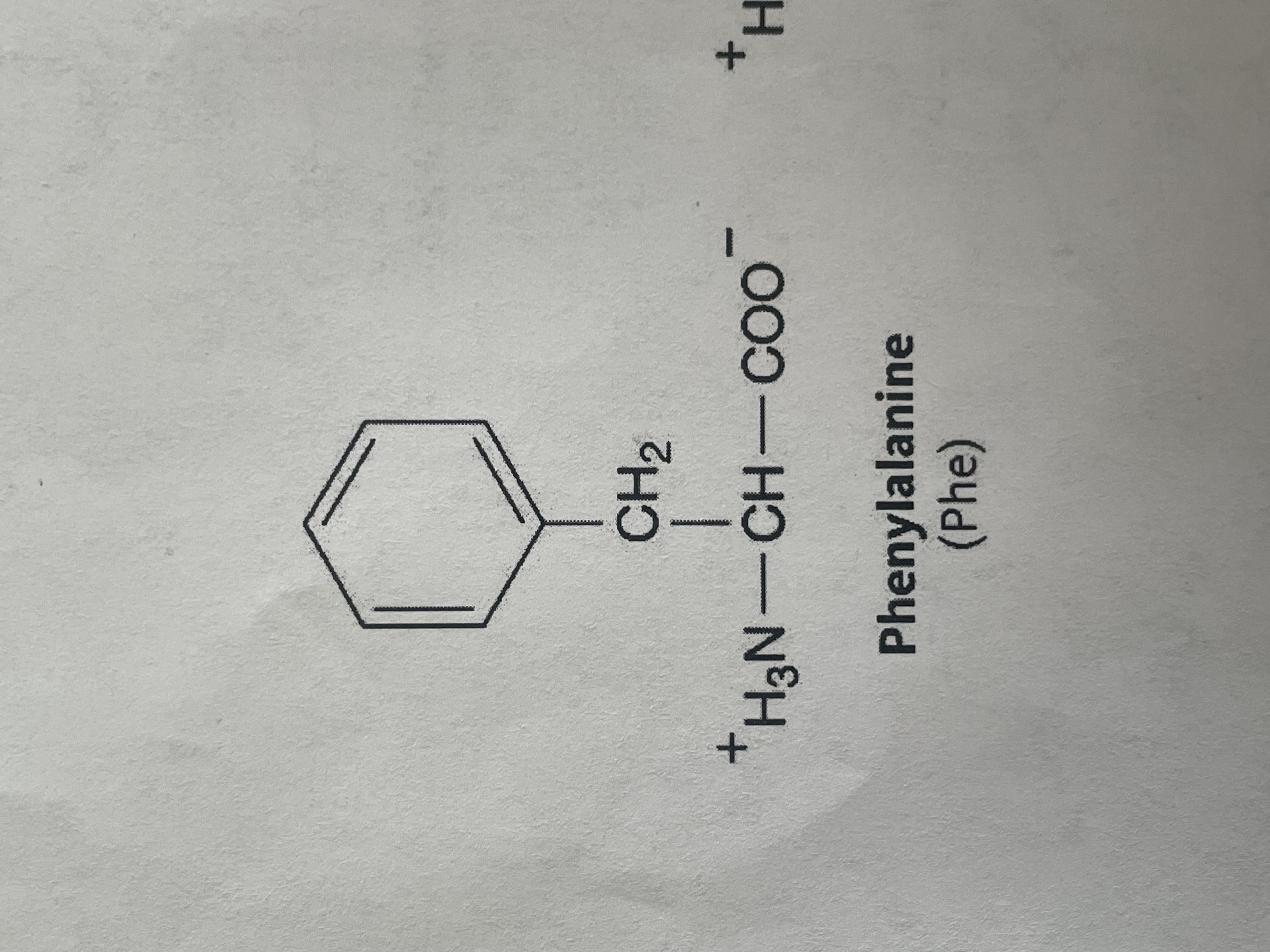 <p>non-polar (hydrophobic), aromatic amino acid</p>