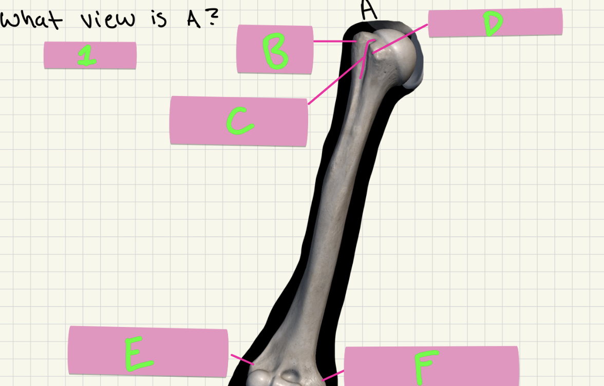 <p>What’s E-F?</p>