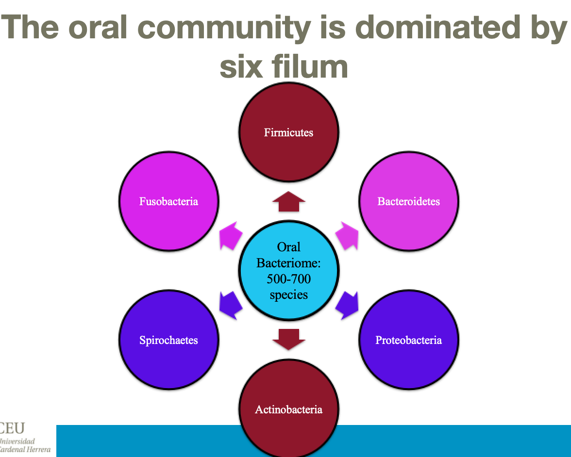 <p>Diverse organisms, including bacteria, fungi, mycoplasmas, protozoa and viruses.</p>