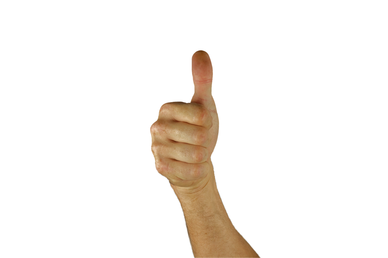 What does this sign mean? (thumbs up)