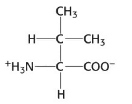 <p>Which amino acid is this</p>