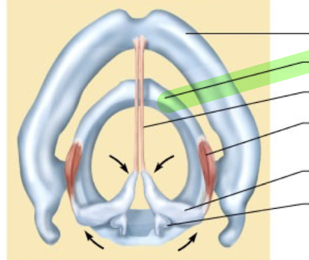 <p>What is this structure?</p>