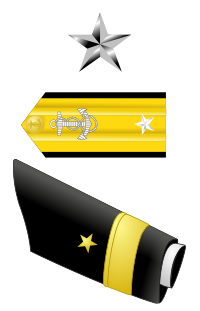 <p>one silver star</p>