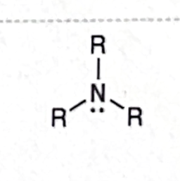 <p>Identify this functional group</p>