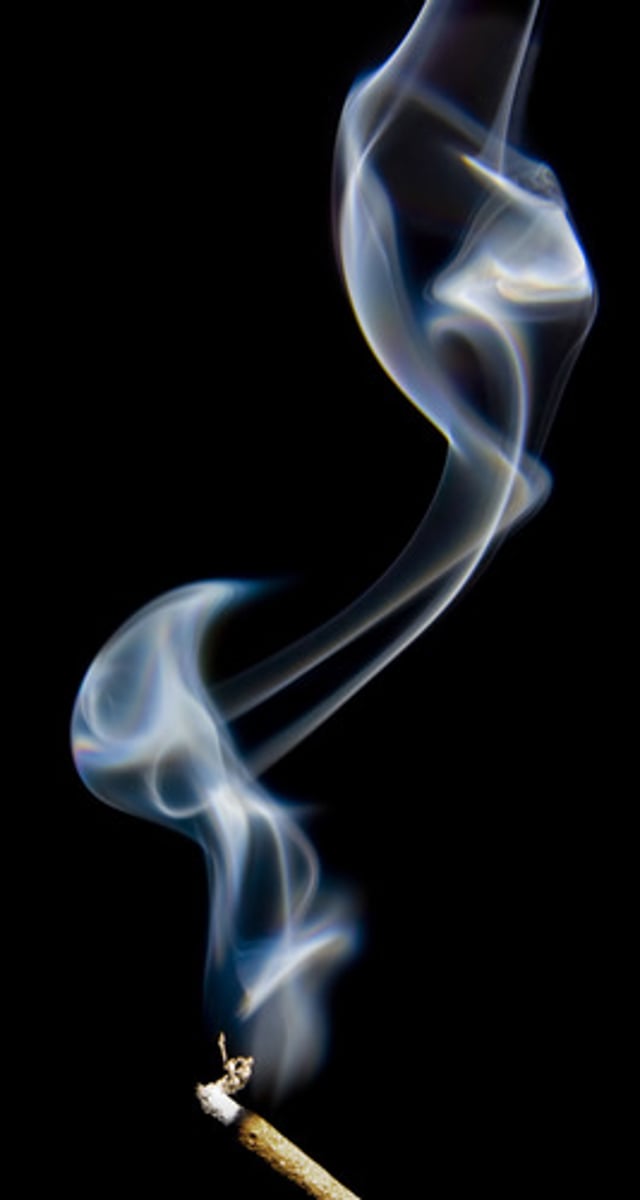<p>harmful</p>
