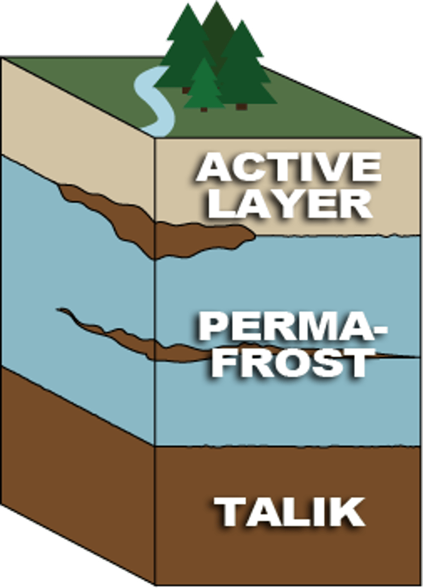 <p>the upper layer above permafrost which thaws and refreezes during the summer</p>
