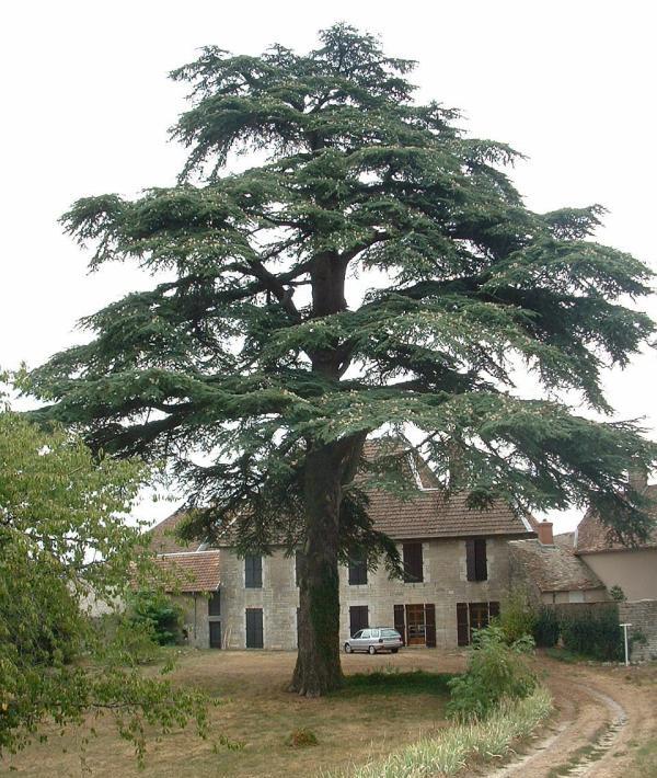 <p>c’est quoi ?</p>