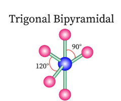 <p><span><span>5 bonded pairs and no lone pairs (1)</span></span></p>