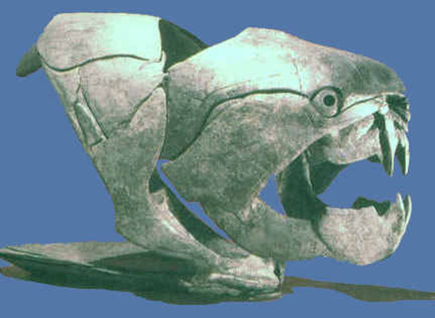 <p>Plate-skinned fishes with jaws (Dunkleosteus)</p>