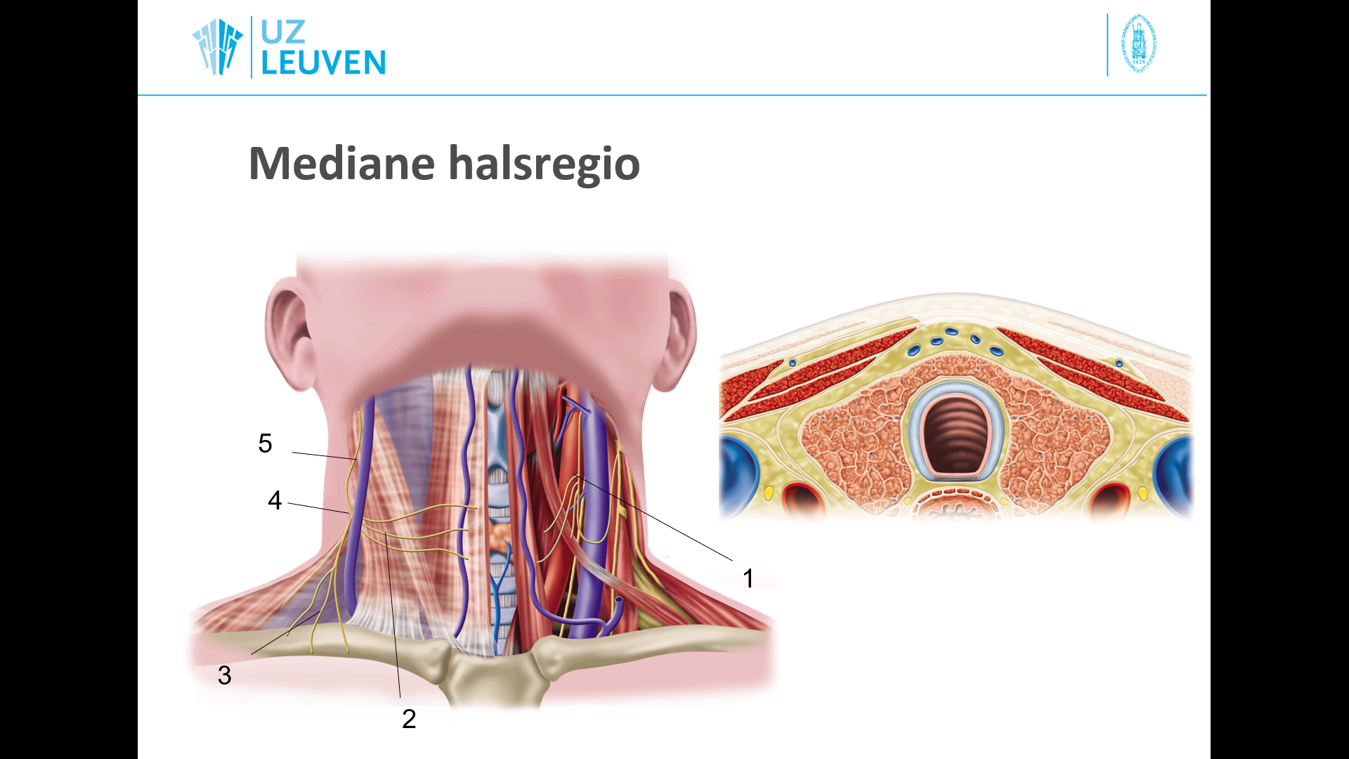 <p>1</p>