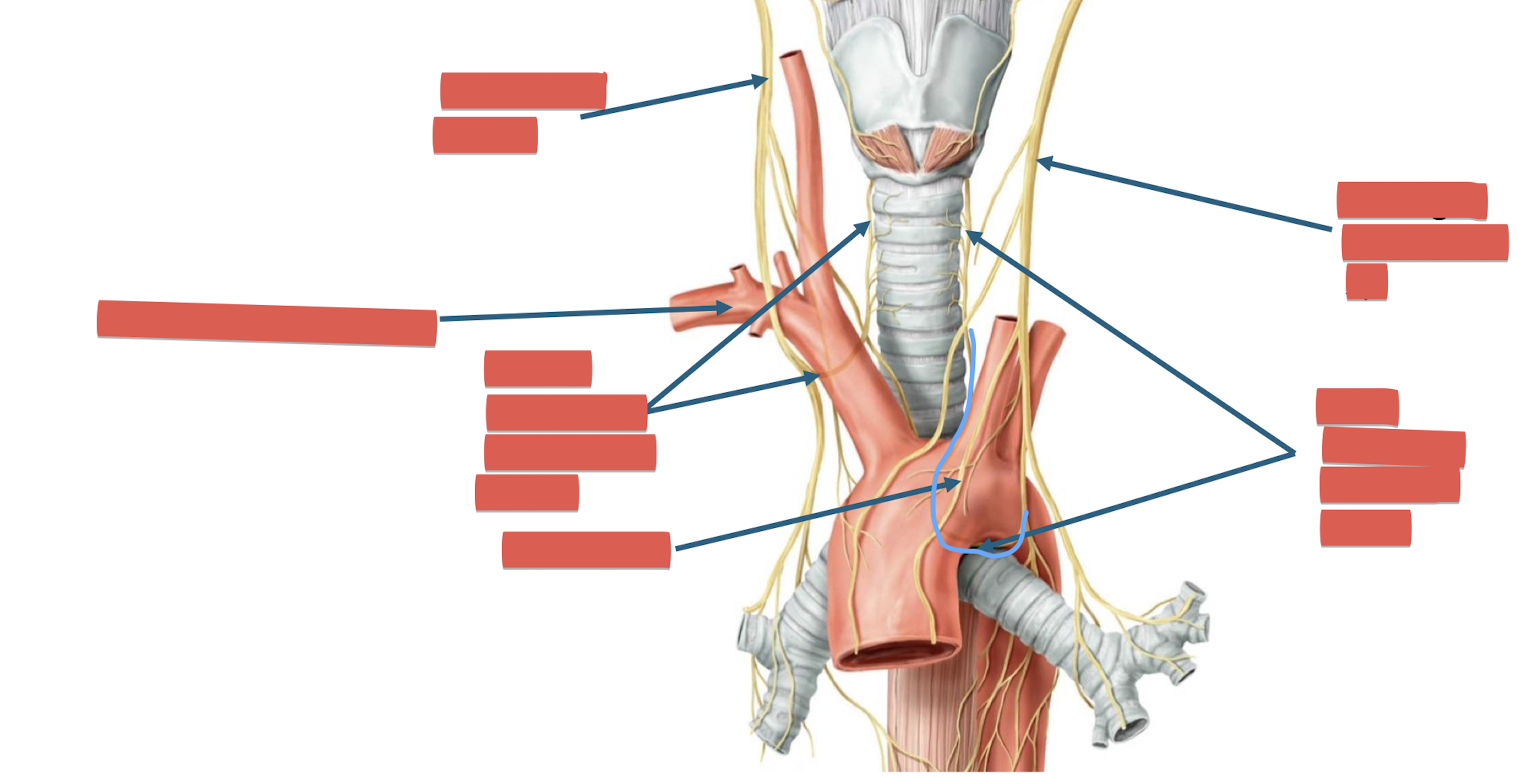 <p>Fill in the blank </p>