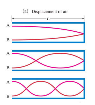 <p>closed ends must be nodes - the air cannot move</p><p>L = n x (wavelength/4) </p><p>wavelength = 4L/number harmonic (but n can only be odd)</p><p>Frequency at n harmonic = number harmonic x intial frequency</p>
